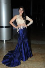 Regina at Pilla Nuvvu leni Jeevitham Success Meet